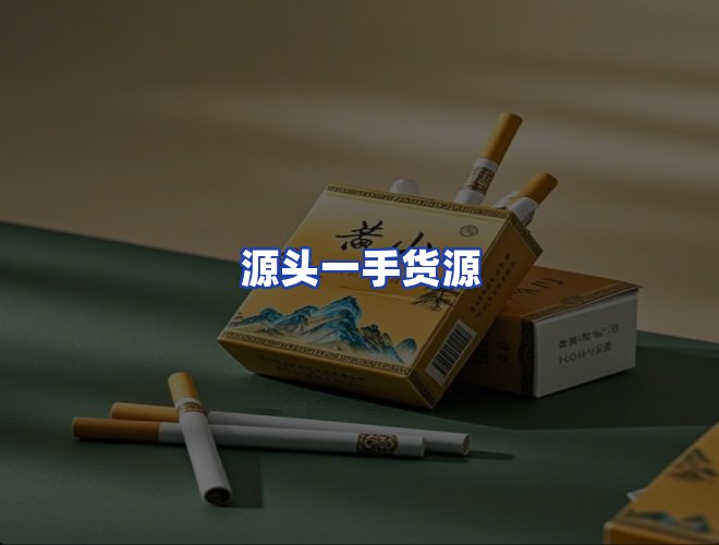 专业团队